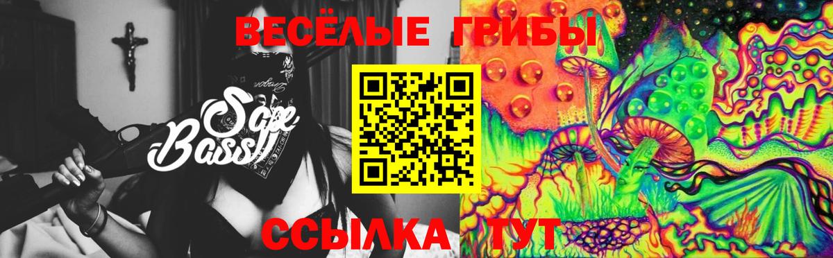 Пушкино  Псилоцибиновые грибы мухоморы  Вход с VPN  Галлюциногенные грибы мицелий 